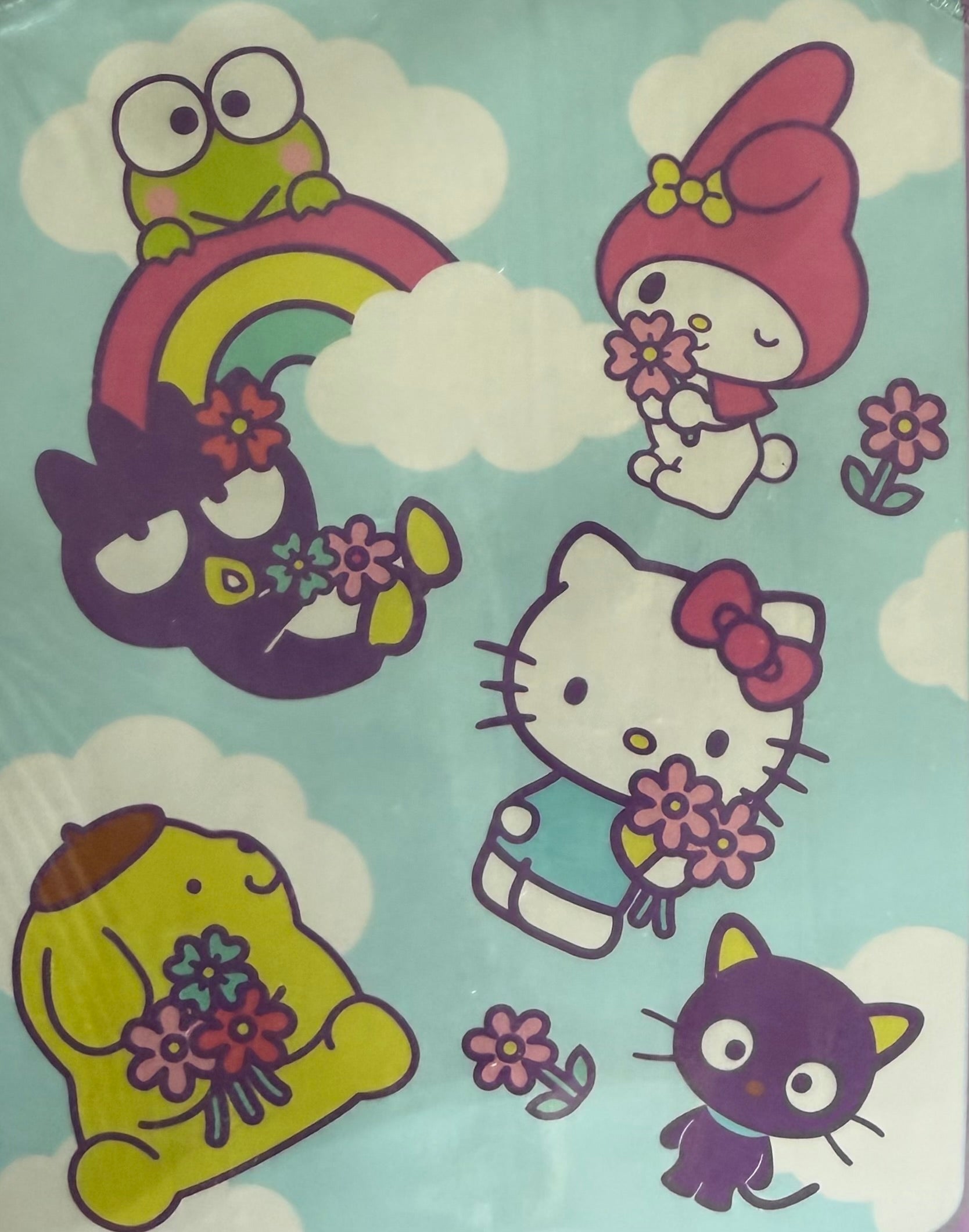 Hello Kitty & Friends
